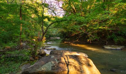 Land for sale in Tuscaloosa County, Alabama