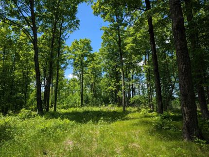 Land for sale in Price County, Wisconsin