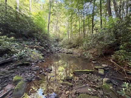 Farm and Ranch for sale in Wise County, Virginia