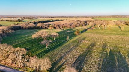 Farm and Ranch for sale in Fannin County, Texas