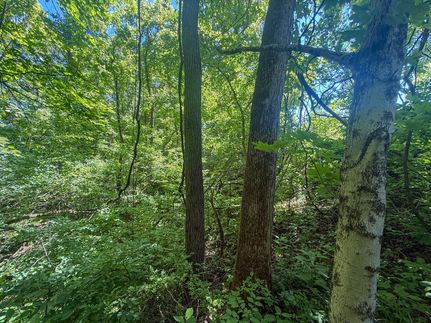 Timberland Property for sale in Morgan County, Ohio