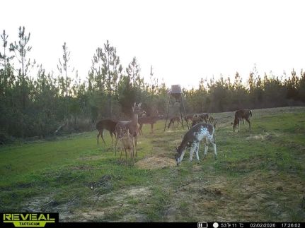 Recreational Property for sale in Jackson County, Florida