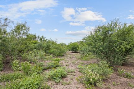 Undeveloped Land for sale in Caldwell County, Texas