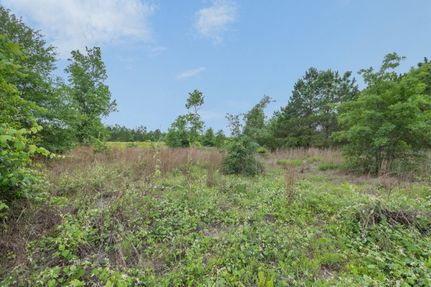 Land for sale in Bastrop County, Texas