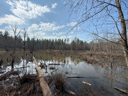 Land for sale in Perry County, Arkansas