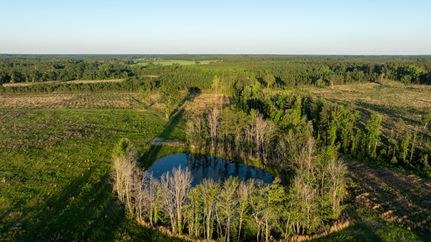 Timberland Property for sale in Screven County, Georgia