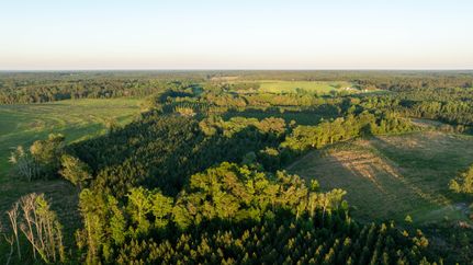 Farm and Ranch for sale in Screven County, Georgia