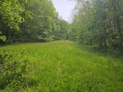 Land for sale in Lawrence County, Kentucky