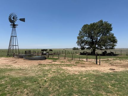 Timberland Property for sale in Wheeler County, Texas