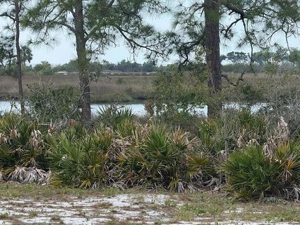 Commercial Property for sale in Levy County, Florida