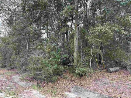 Timberland Property for sale in Santa Rosa County, Florida