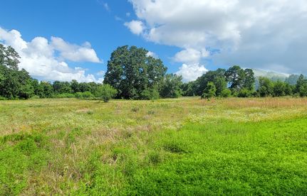 Homesite for sale in Washington County, Texas