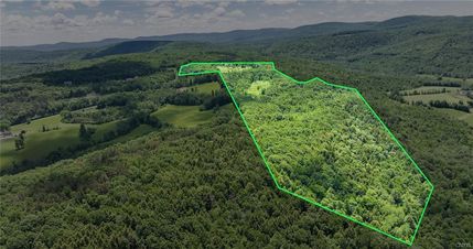 Undeveloped Land for sale in Schoharie County, New York
