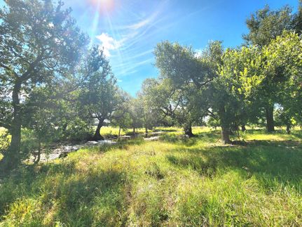 Undeveloped Land for sale in San Saba County, Texas