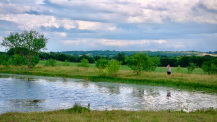 Farm and Ranch for sale in Falls County, Texas