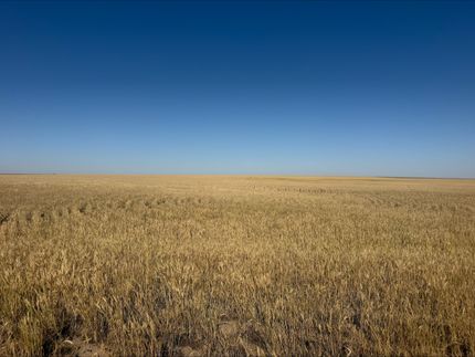 Farm and Ranch for sale in Greeley County, Kansas