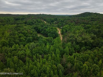 Land for sale in Grenada County, Mississippi