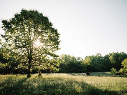 Recreational Property for sale in Maury County, Tennessee