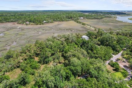 Farm and Ranch for sale in McIntosh County, Georgia