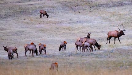Recreational Property for sale in Fergus County, Montana