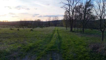 Farm and Ranch for sale in Yates County, New York