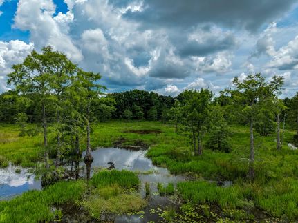 Farm and Ranch for sale in Calhoun County, Georgia