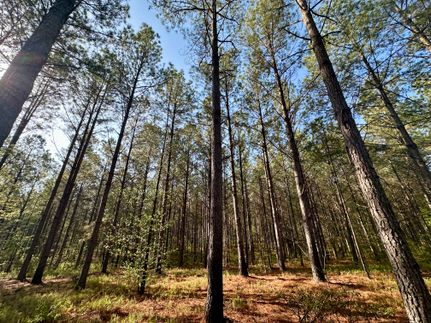 Recreational Property for sale in Meriwether County, Georgia
