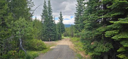 Land for sale in Valley County, Idaho