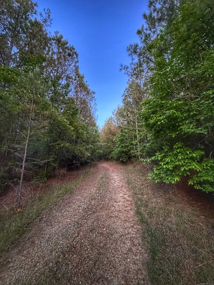 Farm and Ranch for sale in Marion County, Alabama
