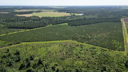 Farm and Ranch for sale in Baldwin County, Alabama