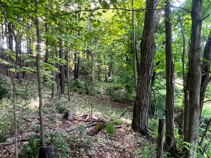Hunting Property for sale in Chenango County, New York
