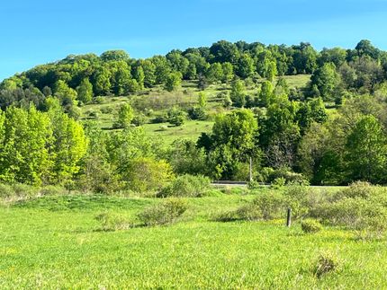 Commercial Property for sale in Chenango County, New York