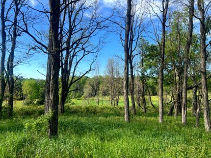 Farm and Ranch for sale in Chenango County, New York