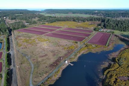 Land for sale in Curry County, Oregon