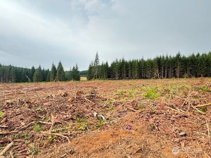 Land for sale in Lewis County, Washington