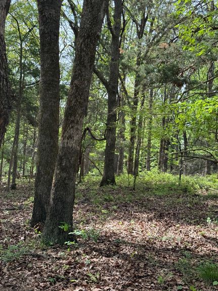 Timberland Property for sale in Ozark County, Missouri
