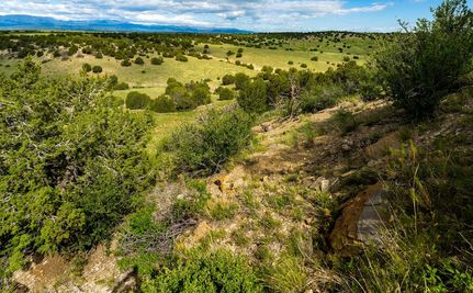 Timberland Property for sale in Pueblo County, Colorado