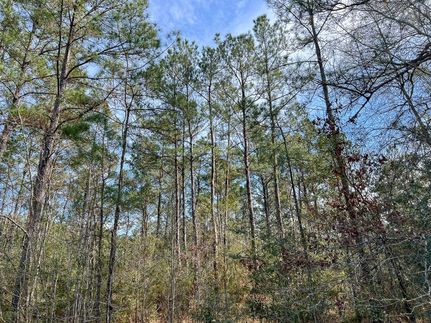 Undeveloped Land for sale in Orange County, Texas