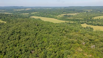 Land for sale in Douglas County, Missouri