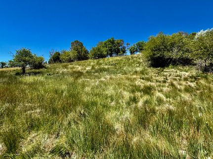Farm and Ranch for sale in La Plata County, Colorado