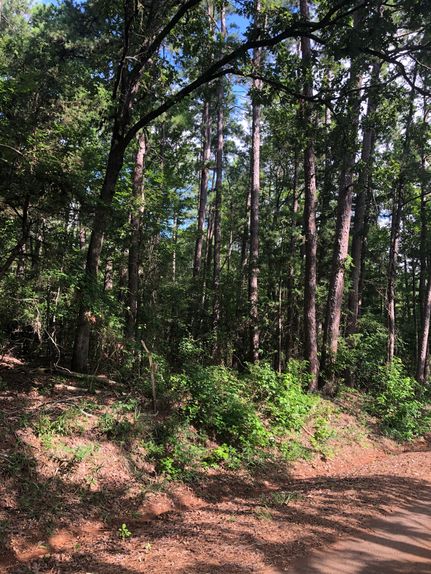 Land for sale in Rusk County, Texas
