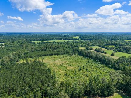 Timberland Property for sale in Upshur County, Texas
