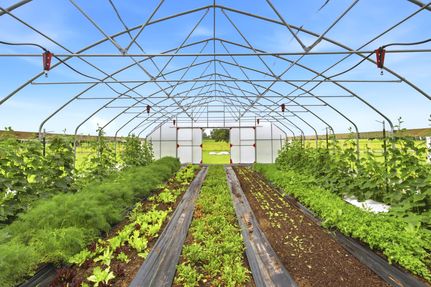 Farm and Ranch for sale in Rains County, Texas