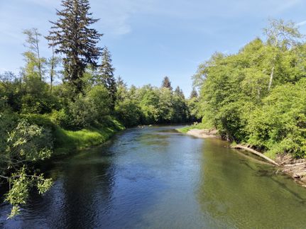 Hunting Property for sale in Grays Harbor County, Washington