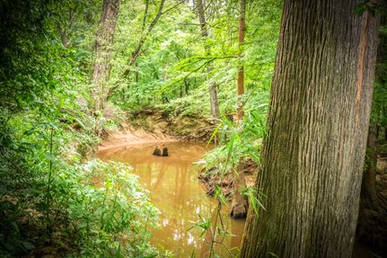 Land for sale in Sabine County, Texas