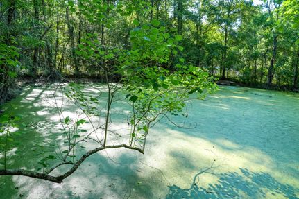 Homesite for sale in Tyler County, Texas