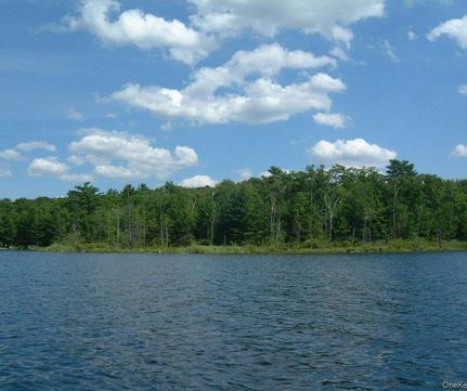 Recreational Property for sale in Sullivan County, New York
