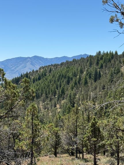 Timberland Property for sale in Grant County, Oregon