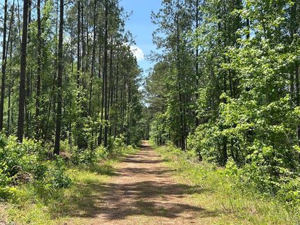Recreational Property for sale in Baldwin County, Georgia