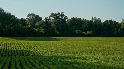 Land for sale in Daviess County, Kentucky